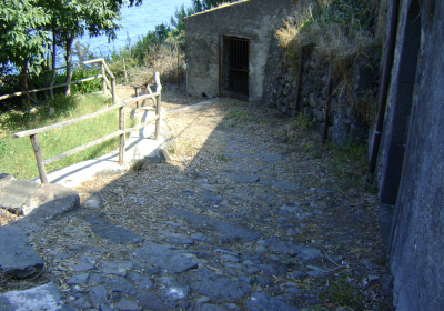 Casa Vacanze Casale Casale Dei Limoni